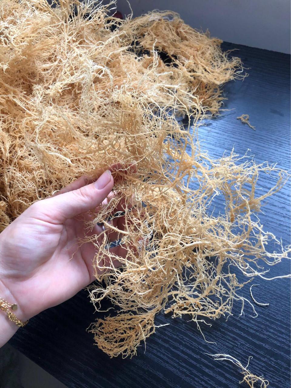 凉拌龙须菜 龙须菜生长在海边的石头上,根须长,成白色,在北方只能吃到