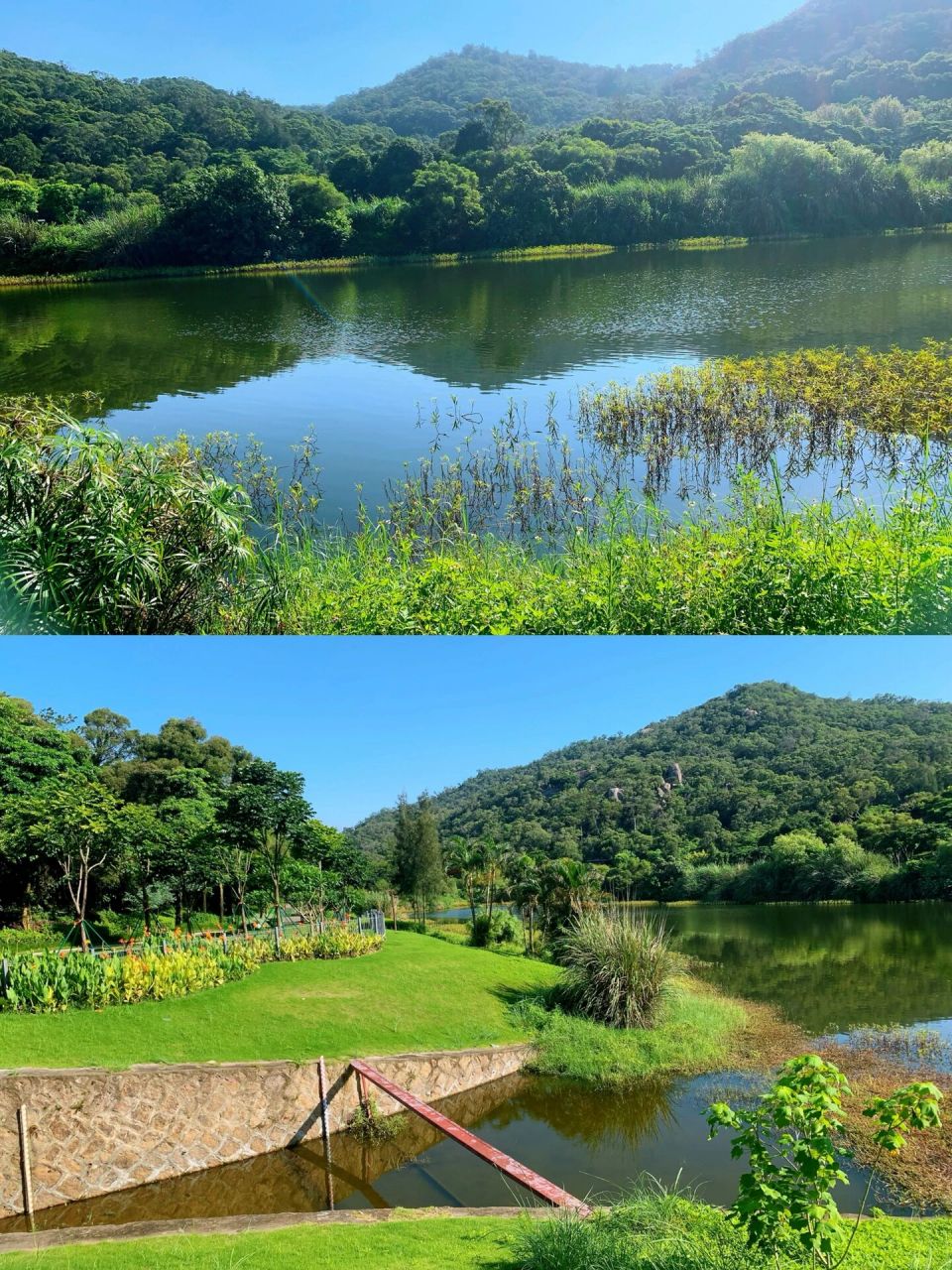 厦门上李水库公园,魅力青青世界   厦门植物园东门对面的上李水库公园