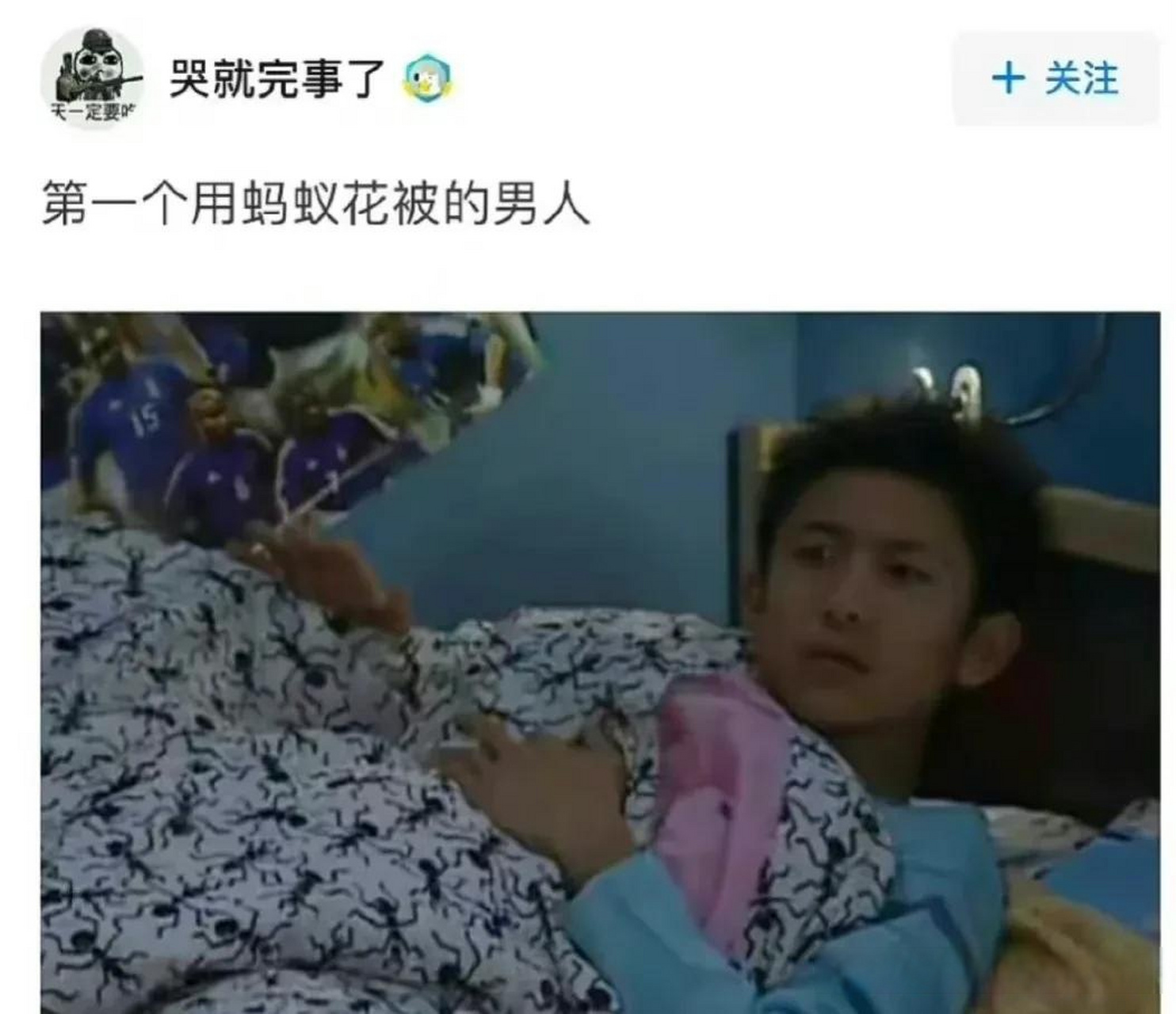 刘星是第一个用蚂蚁花被的人!值得全世界记住!