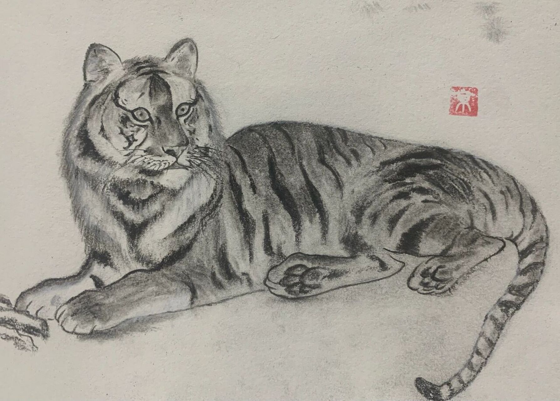 老虎速写 | 虎年画虎 | 铅笔素描手绘