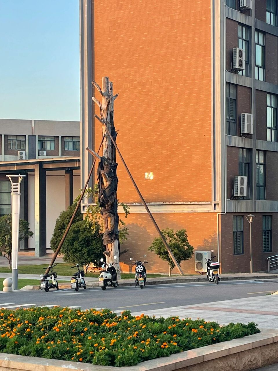 上海财经大学浙江学院 临近专升本考试啦～最近大家都在填志愿,也有