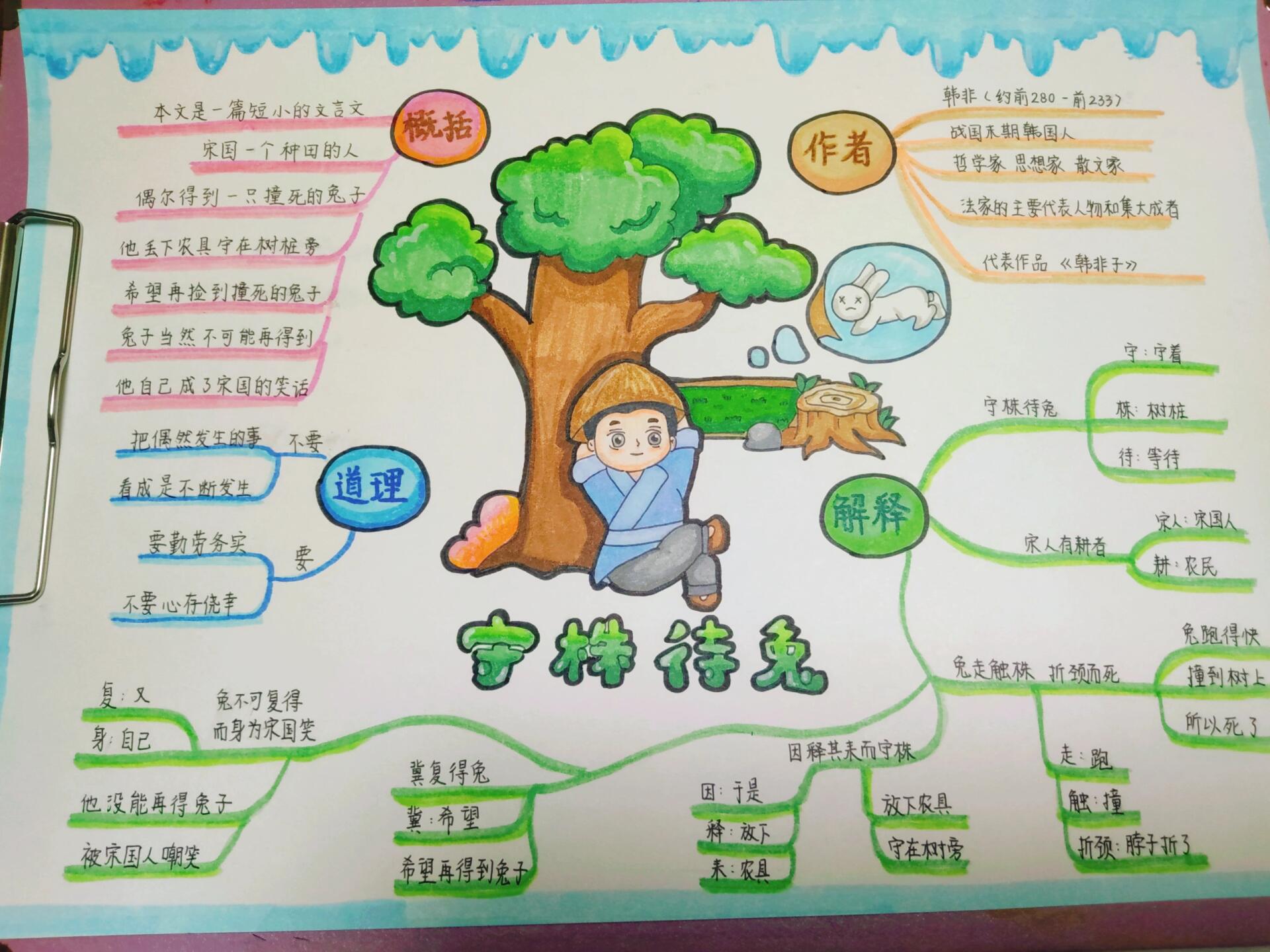 成语故事手抄报—《守株待兔