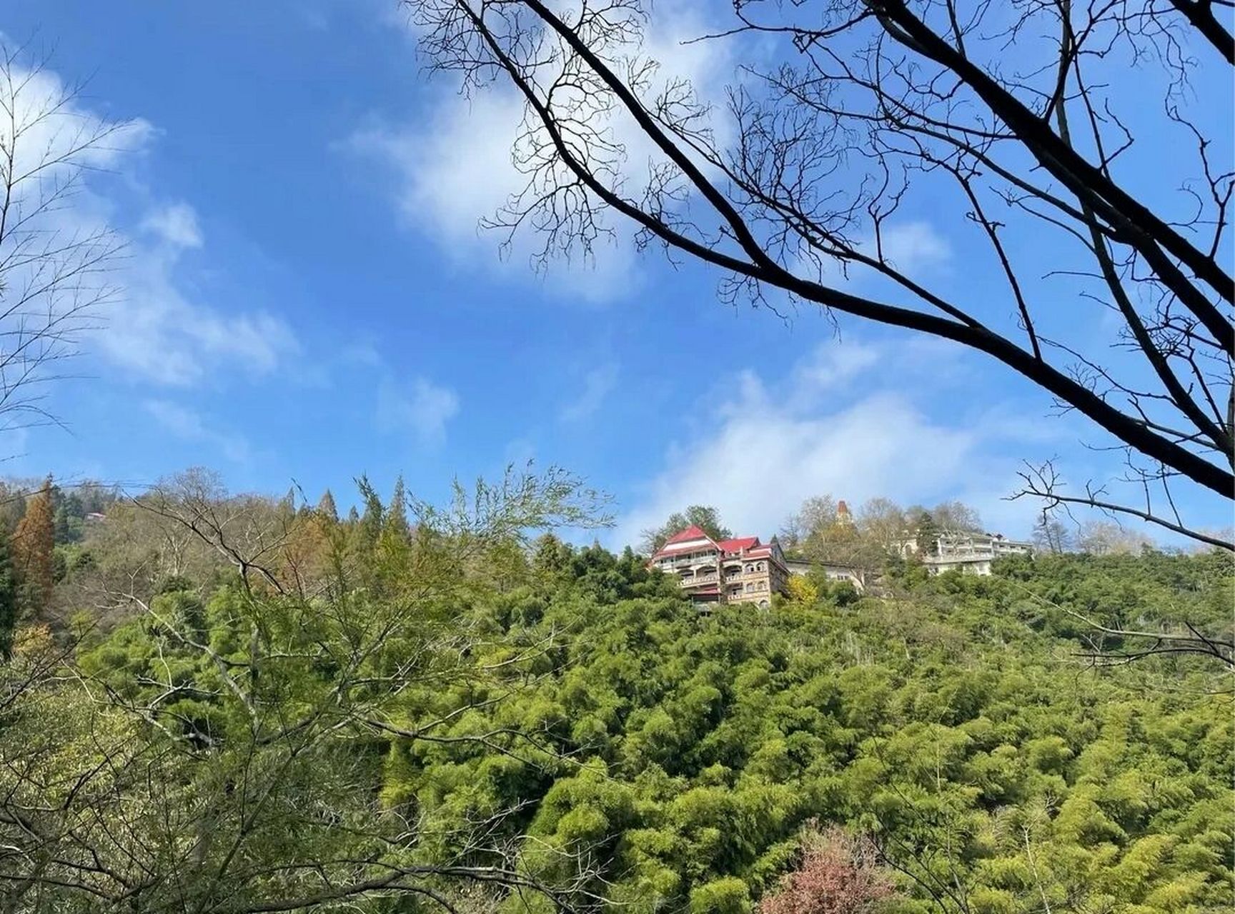 91莫干山风景区|感受大自然的魅力92 【地址】湖州市德清县莫干山