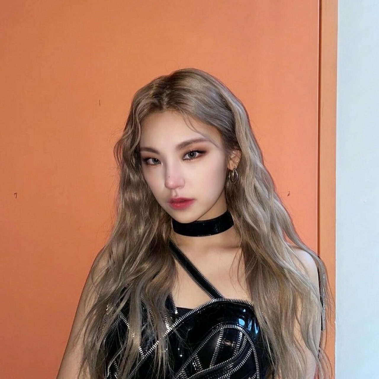 黄礼志头像 壁纸