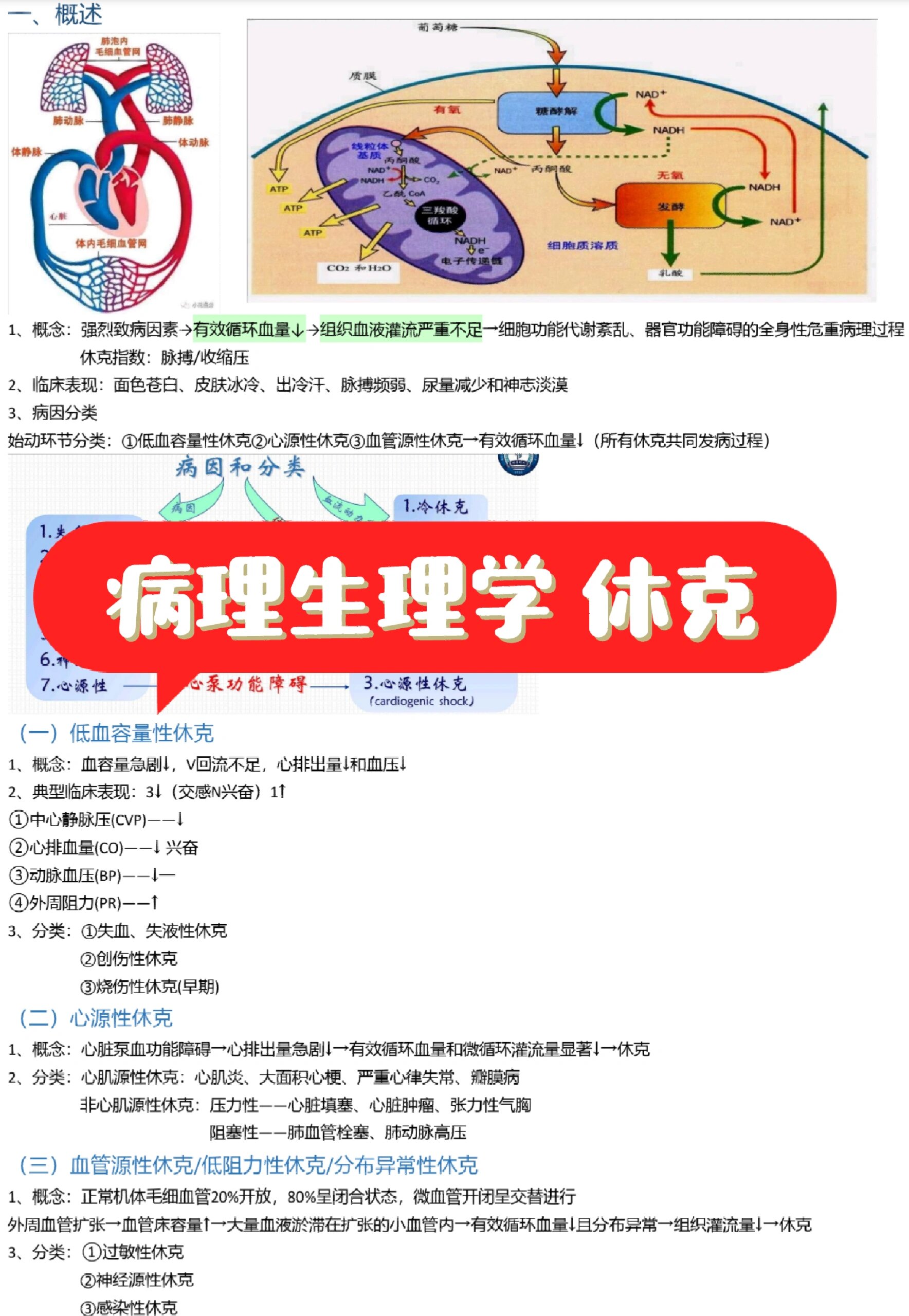学习通生理与健康（尔雅生理健康答案）