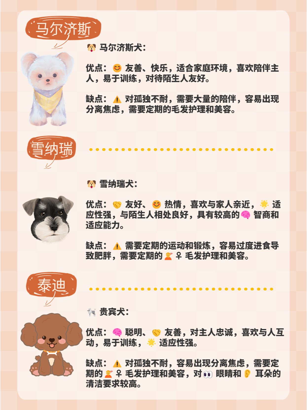 5种适合女生养的小型犬,温顺,省心.