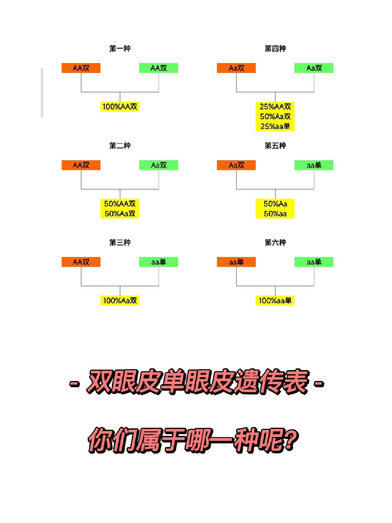 遗传图解书写六要素图片