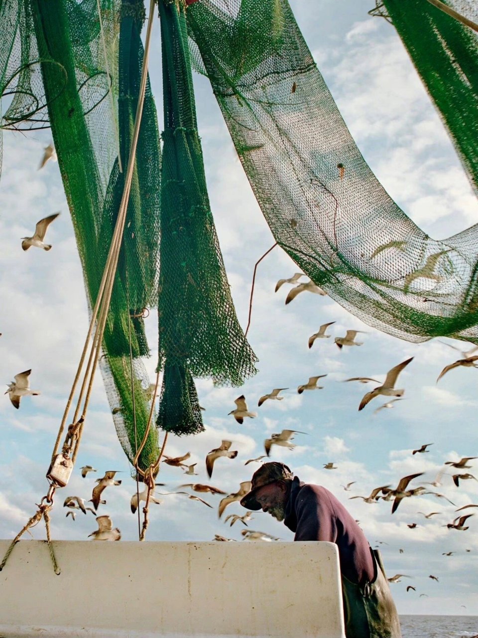 holly lynton,美国摄影师,耶鲁大学心理学毕业,随后学习摄影获得摄影