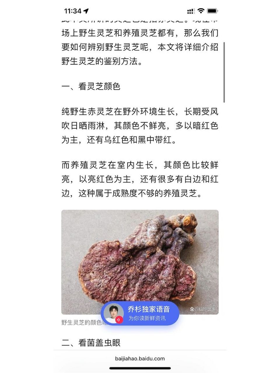 野生灵芝怎么辨别图片