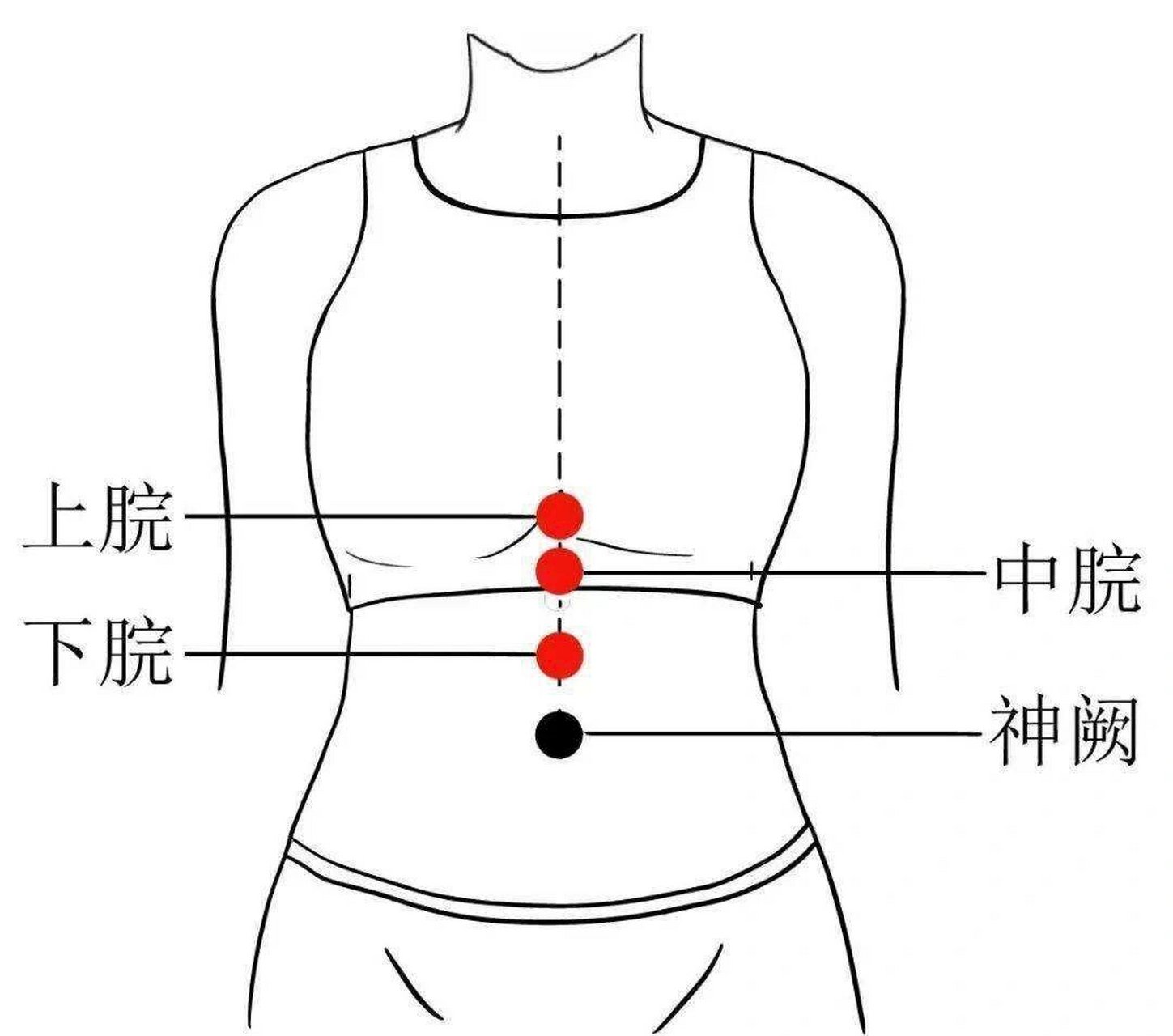 脘腹的准确位置图图片