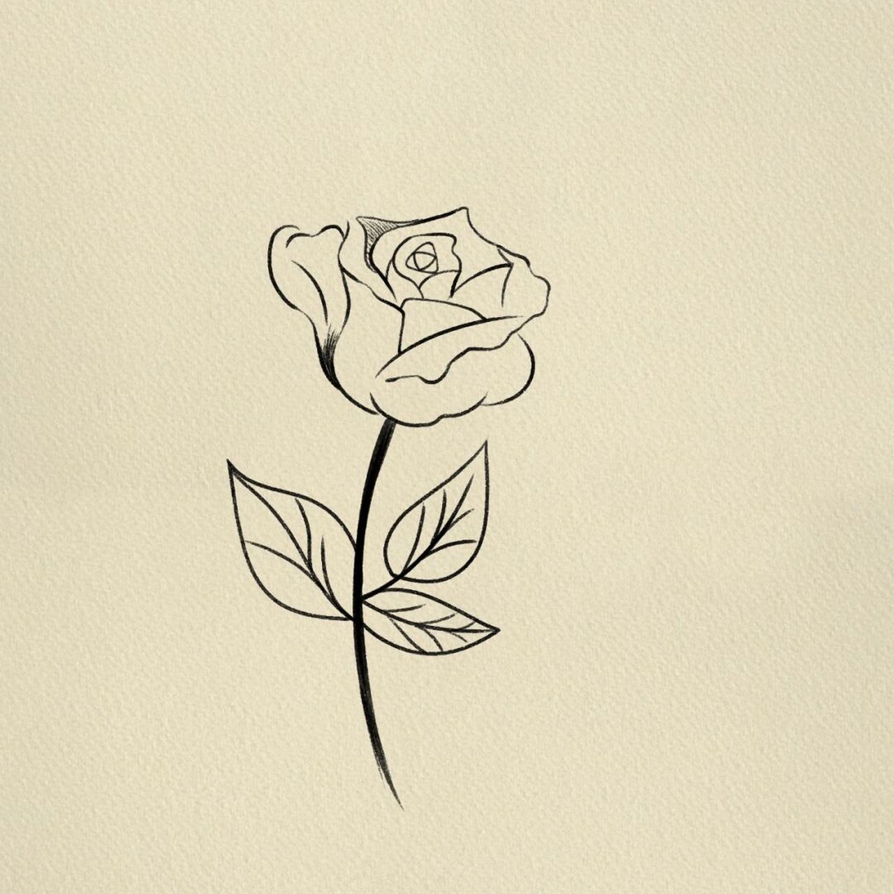 玫瑰花简笔画‖(41) #简笔画# #寻找小红书绘画大神# #临摹# #简笔画