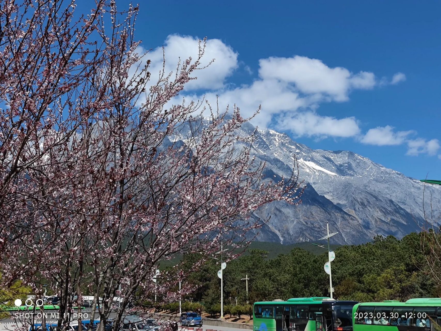 看到有姐妹也踩坑了,還是掛一下康輝旅行社旅行社! 96坑錢團!