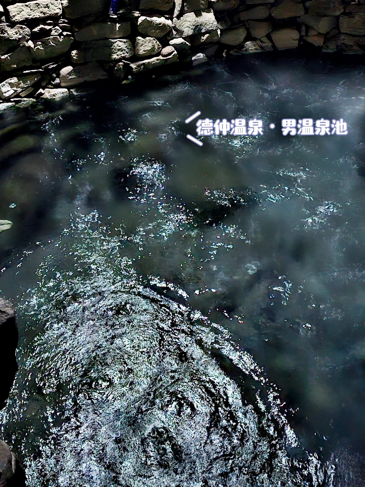 终于来到了距离拉萨市区只有2小时左右车程的德仲温泉!