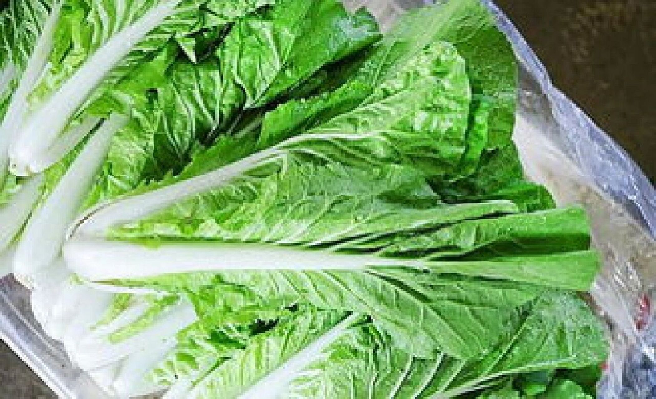 小白菜味甘,性平,具有解热除烦之功效,小白菜可以促进人的身体新陈