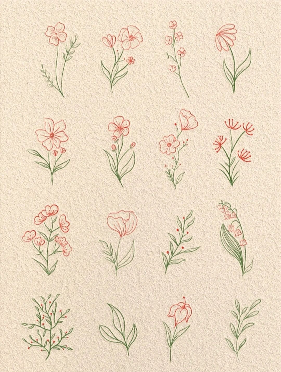 简笔画小花~过程 简笔画小花~过程