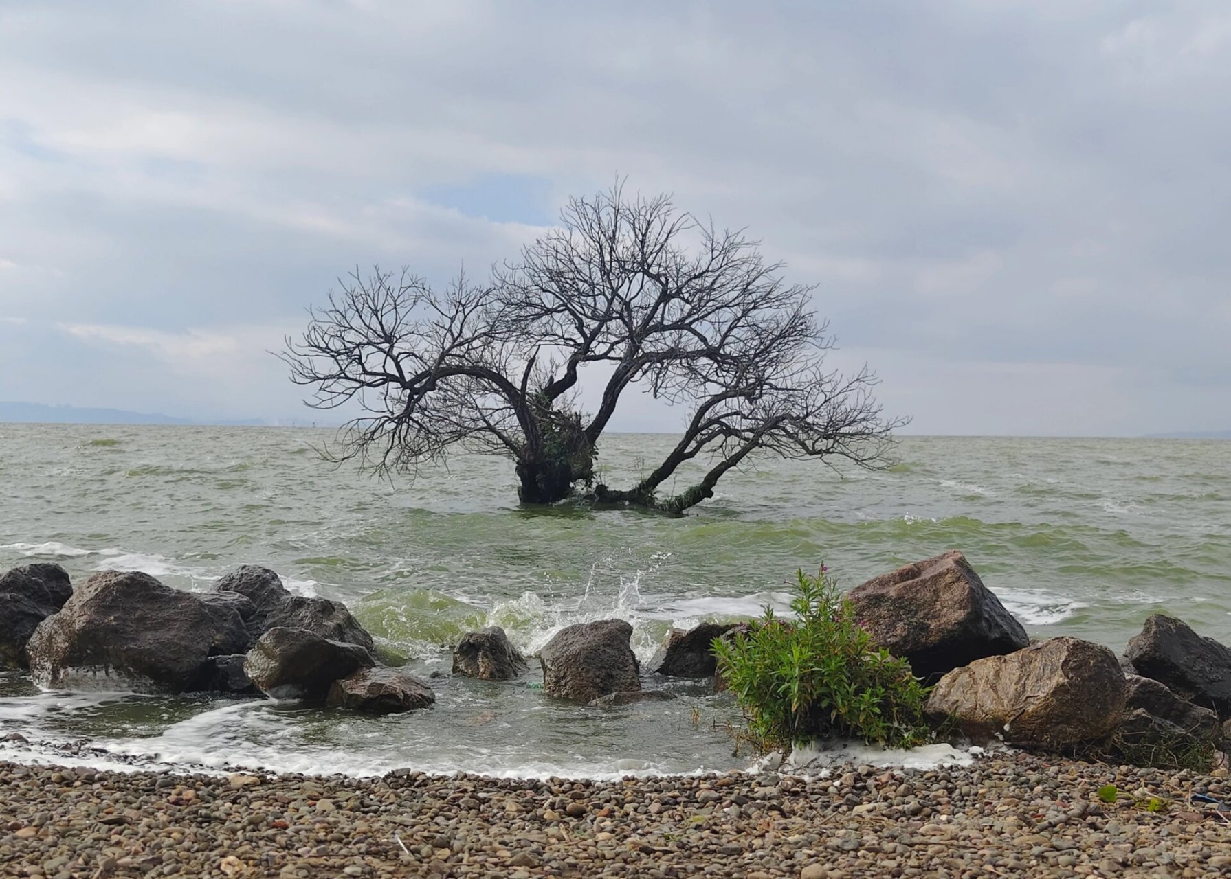斗南湿地公园攻略 地理位置:斗南湿地公园位于昆明市呈贡区斗南与环湖