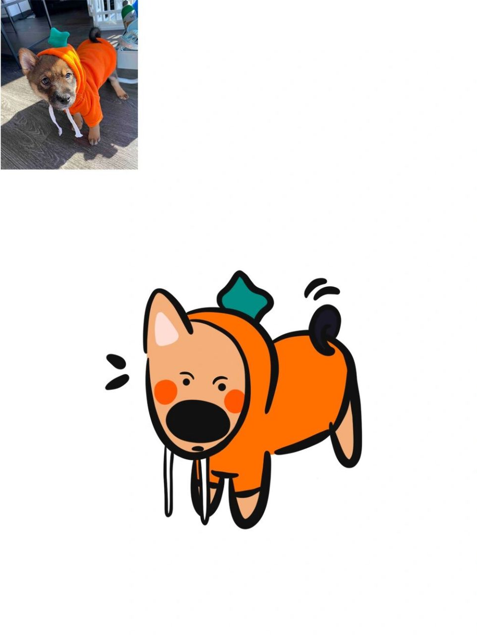 无偿画狗75中华田园犬特集2 认领认领 这次真的算大制作了 无偿画狗