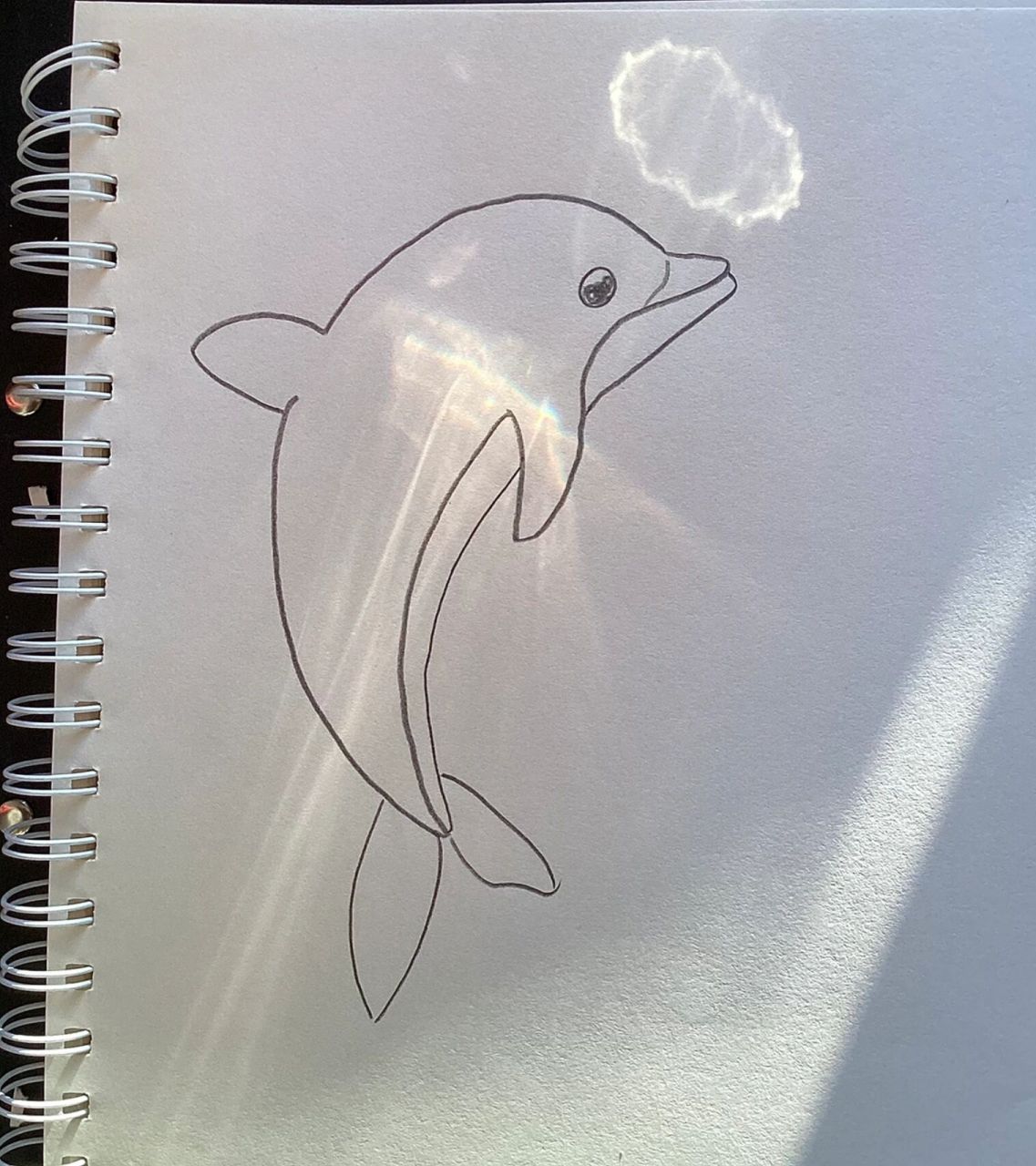 海豚简笔画步骤图图片