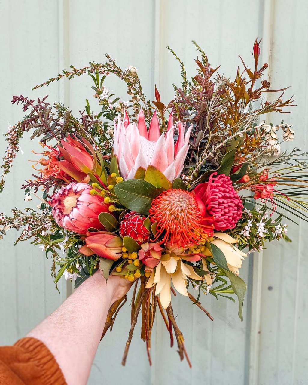 ins分享||花中之王95天生贵族～帝王花束 72帝王72 花语:胜利