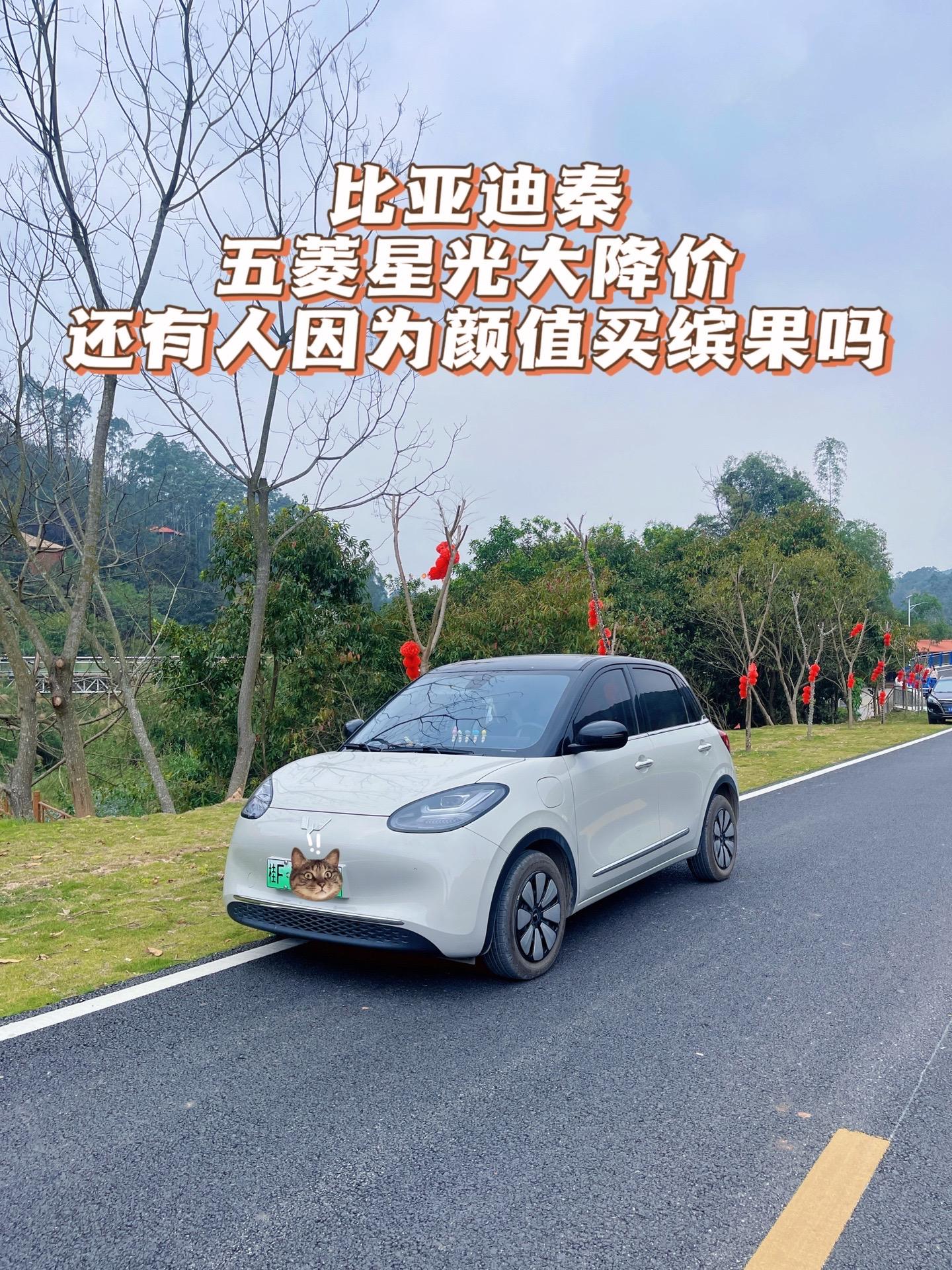 最近看到好多视频都是比亚迪秦7