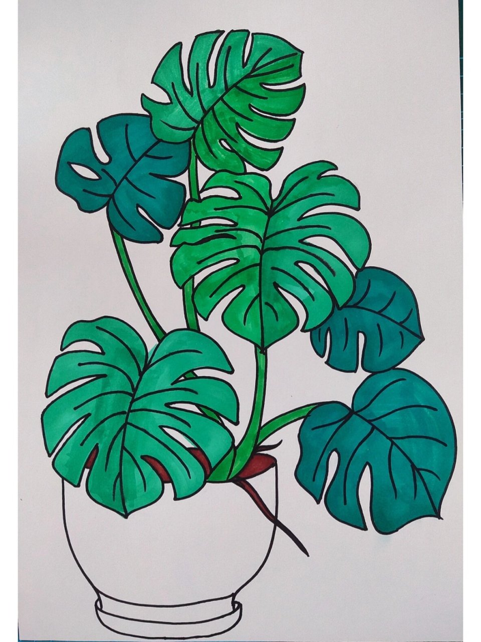 【创意画】龟背竹61带步骤617-9岁 #儿童创意美术# #创意美术儿童