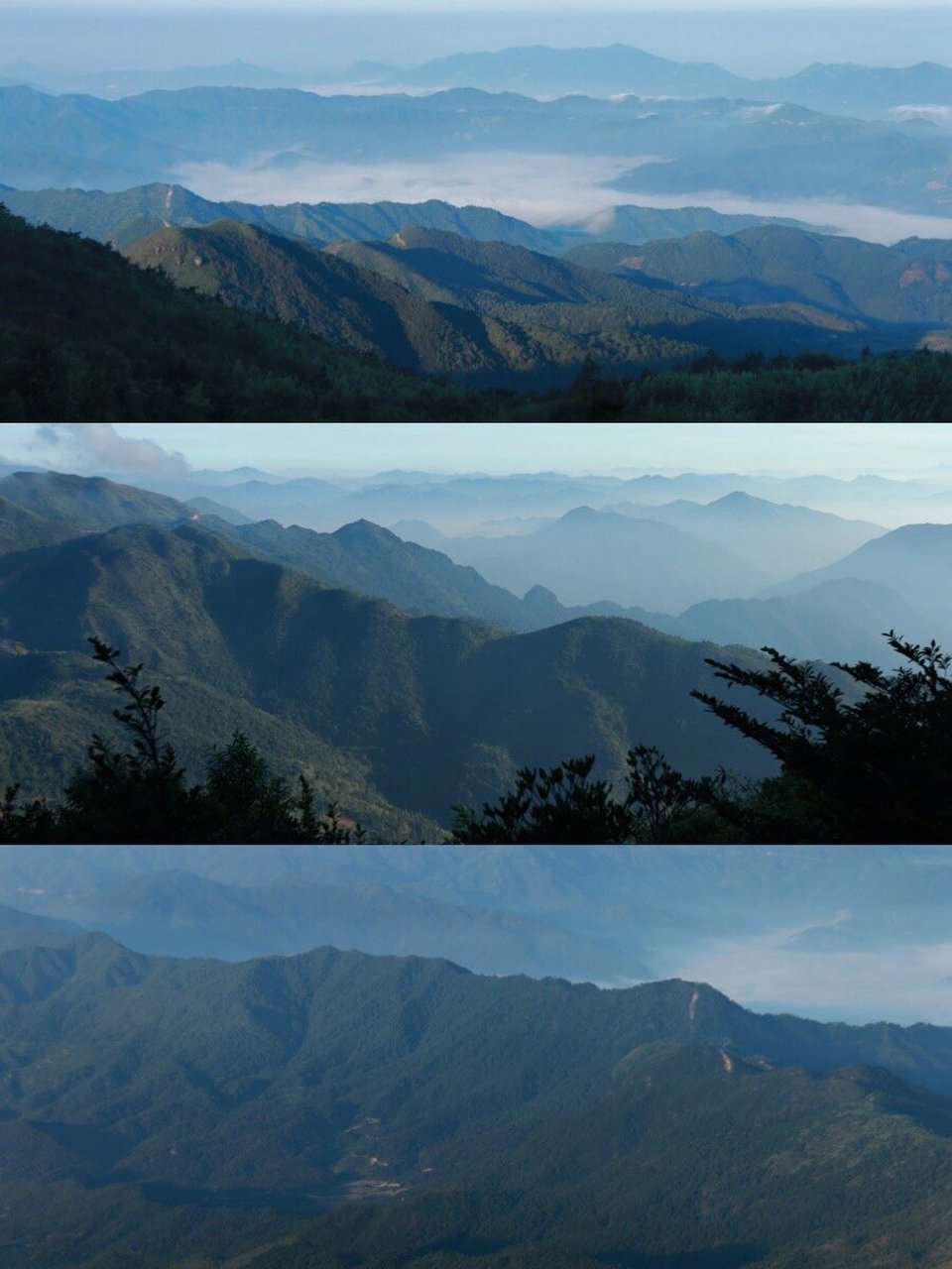 漳州|爬上了闽南第一高峰——平和大芹山 记一场说走就走的大芹山之旅