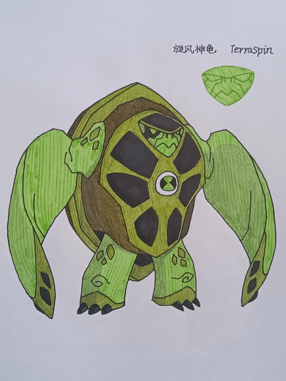 ben10全面进化外星英雄介绍(36) 旋风神龟 英文名:terraspin,词源"