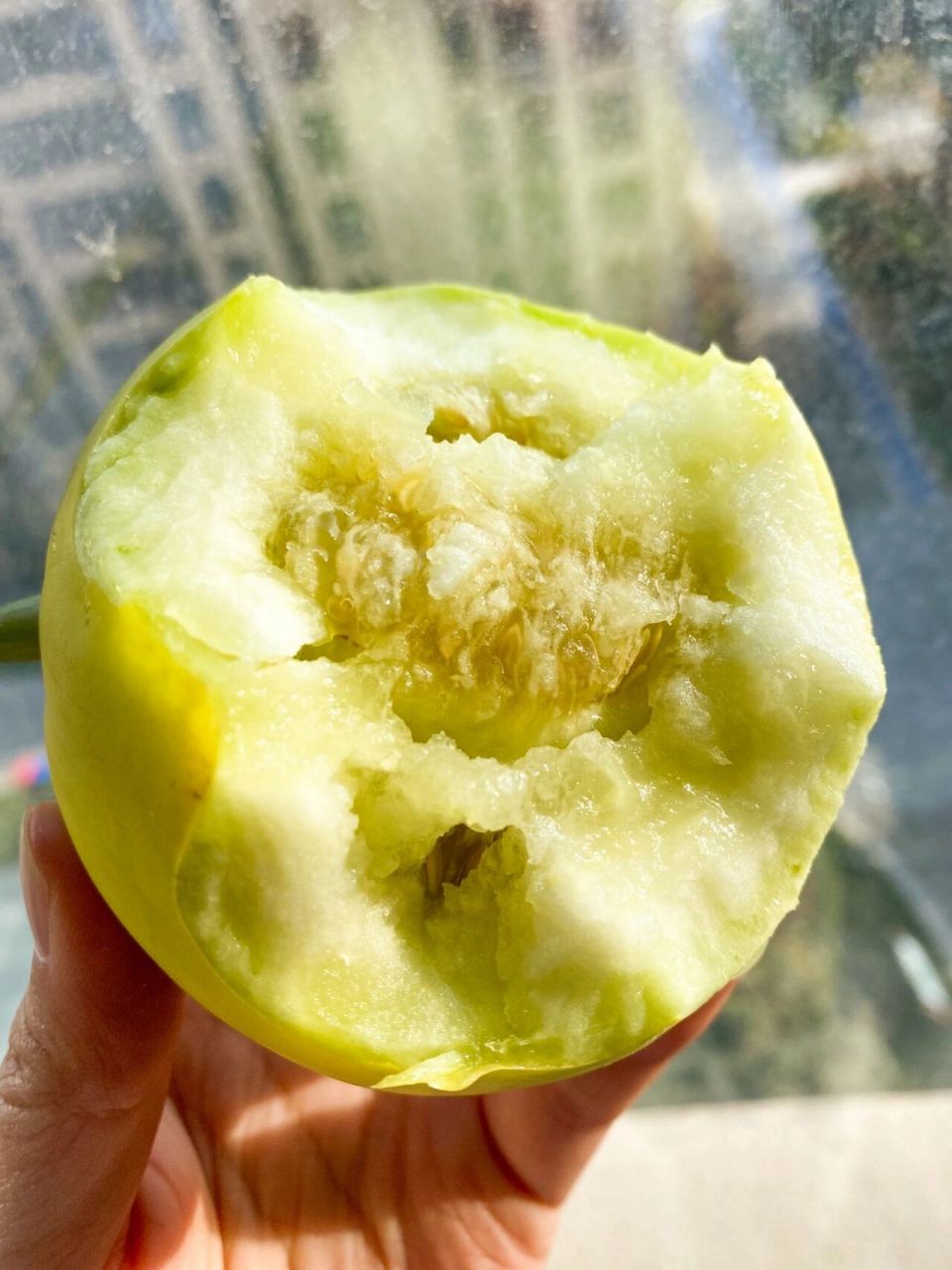 90一方佳果,名誉全国～ 天然好味,马连庄甜瓜～ 给你每日现摘现发的