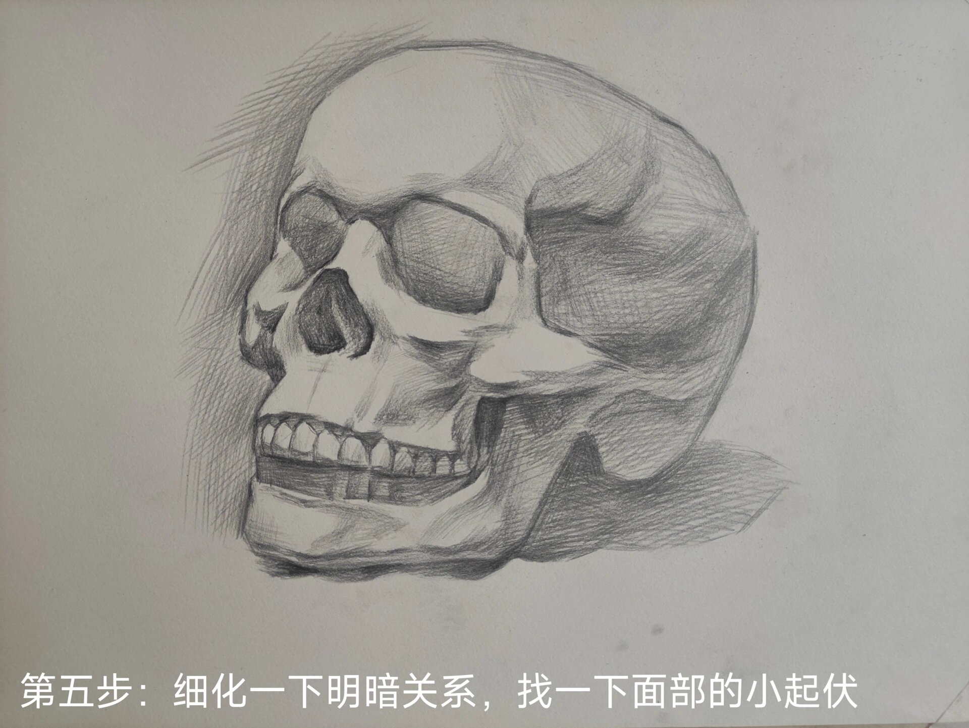 素描头骨骨点高清图图片