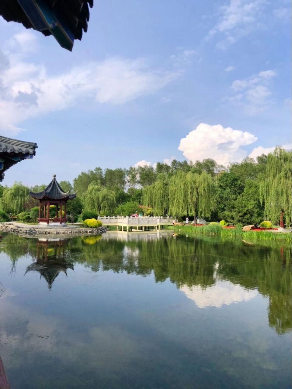 在哈尔滨遇上"江南"——中国亭园 建在家门口的公园,坐落于香坊区油坊