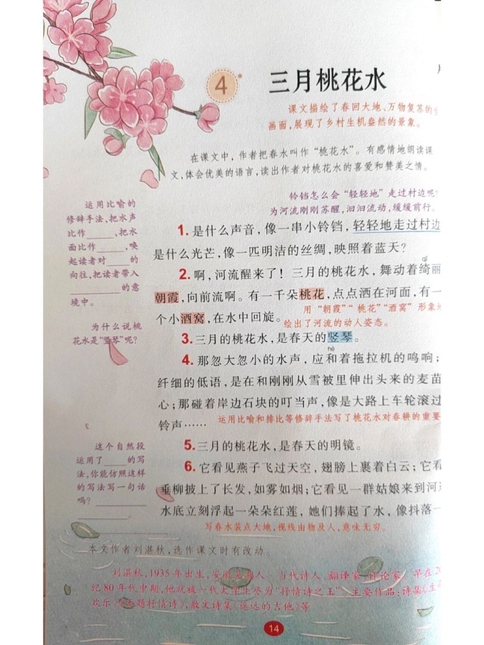 桃花作文思维导图图片