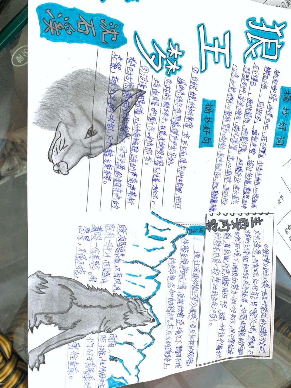 阅读小报,四年级《狼王梦》阅读笔记 老师要求的是书名,作者,抄好词