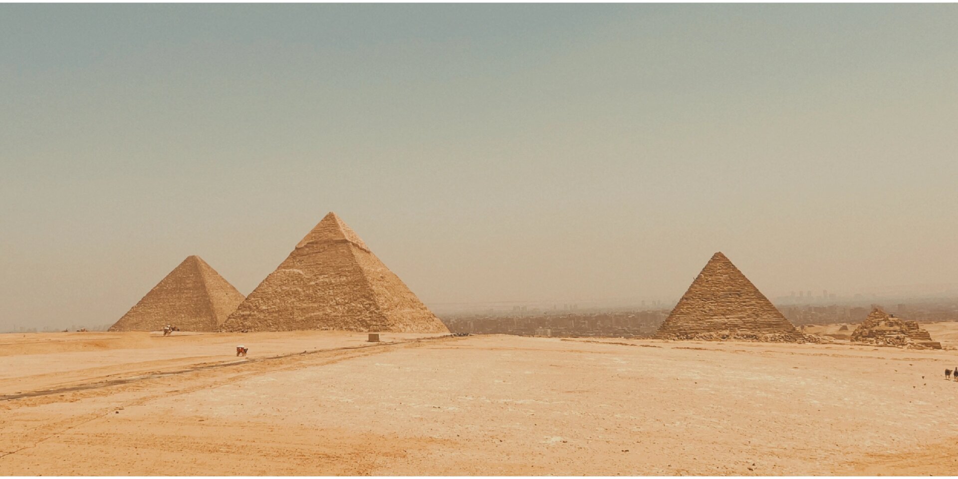 账单与发票管理规定PG电子官方网站 - 最新老虎机游戏入口__注册即送体验金