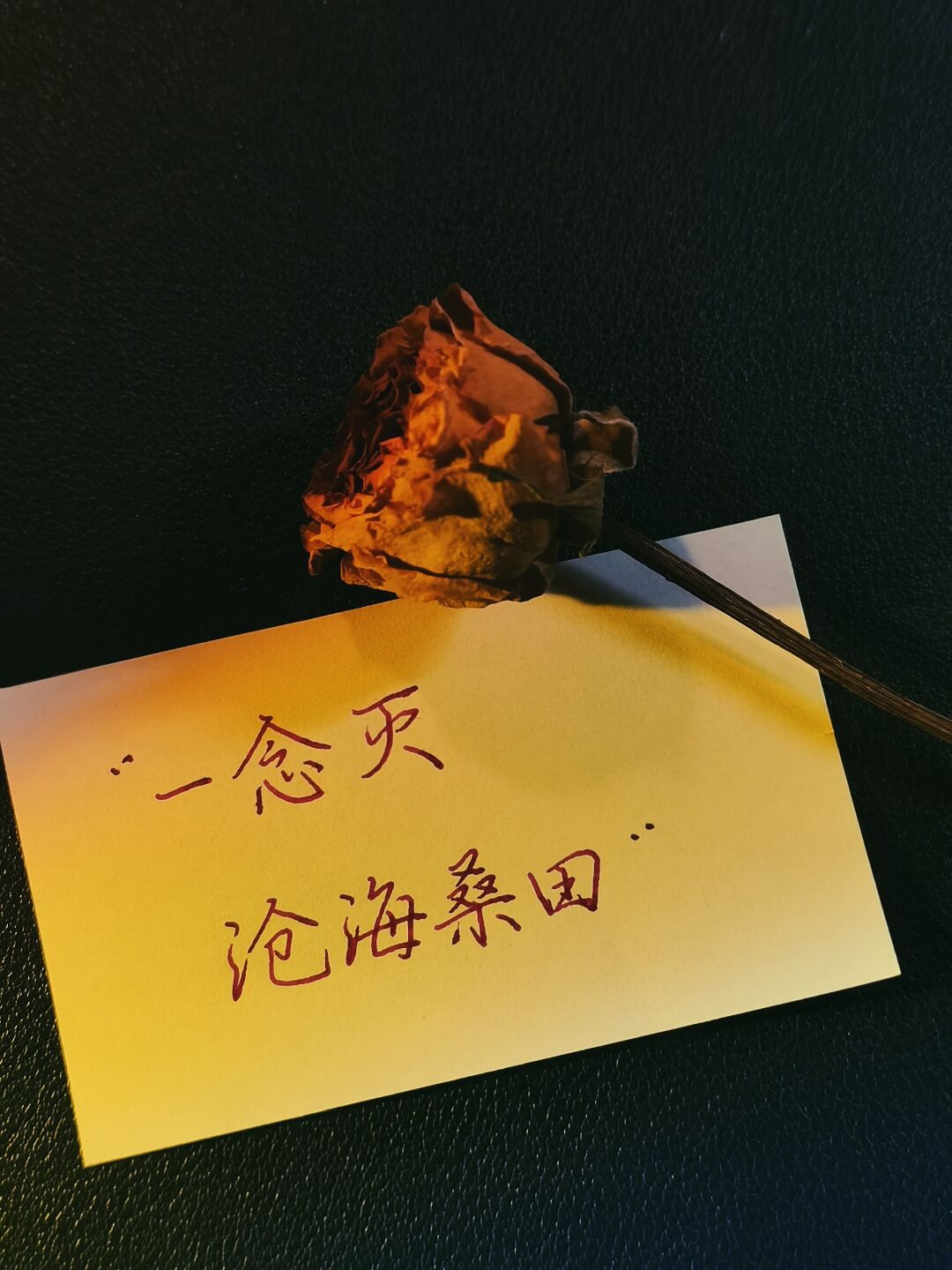 原耽文字素材