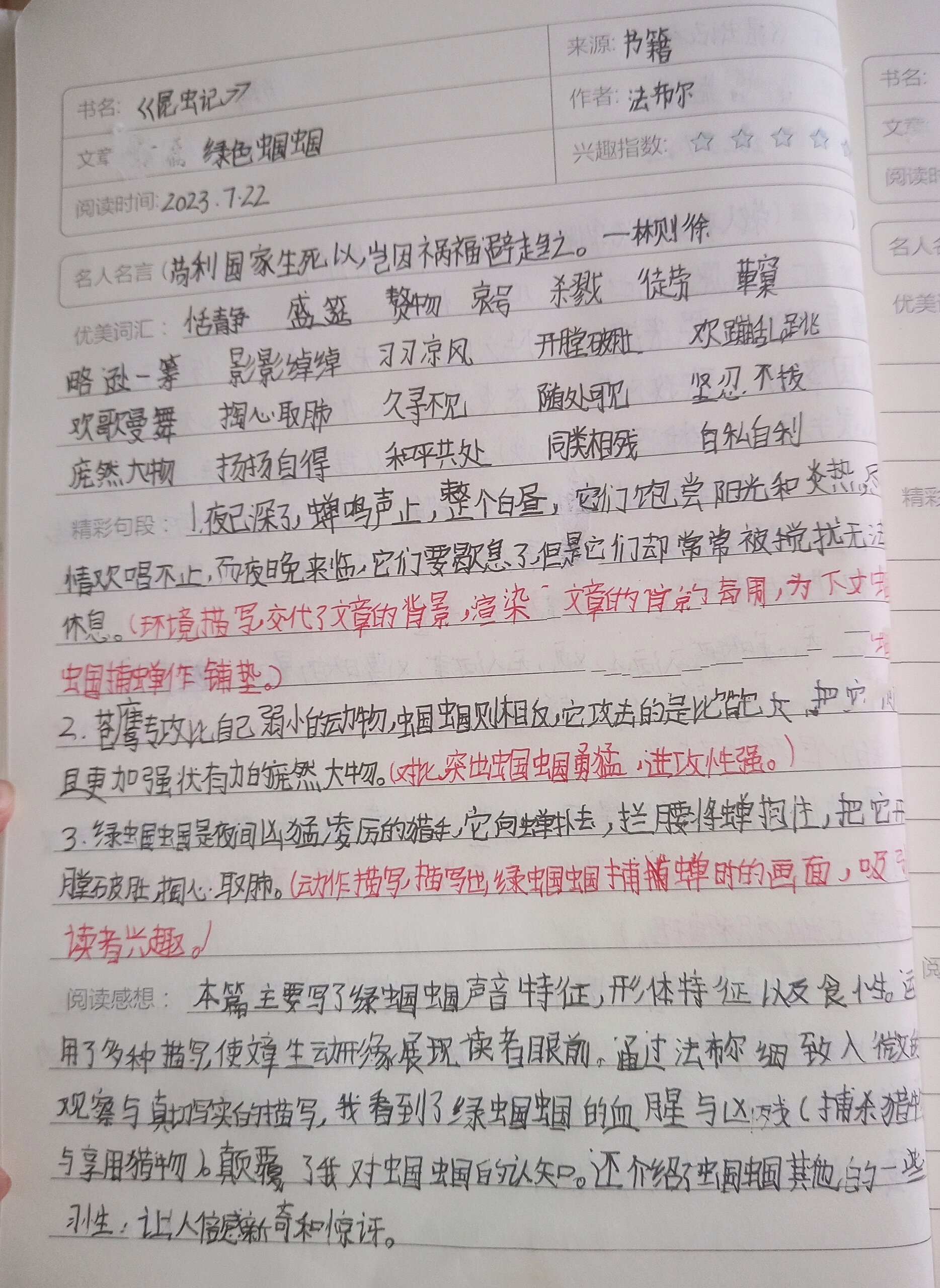 绿螽斯昆虫记图片