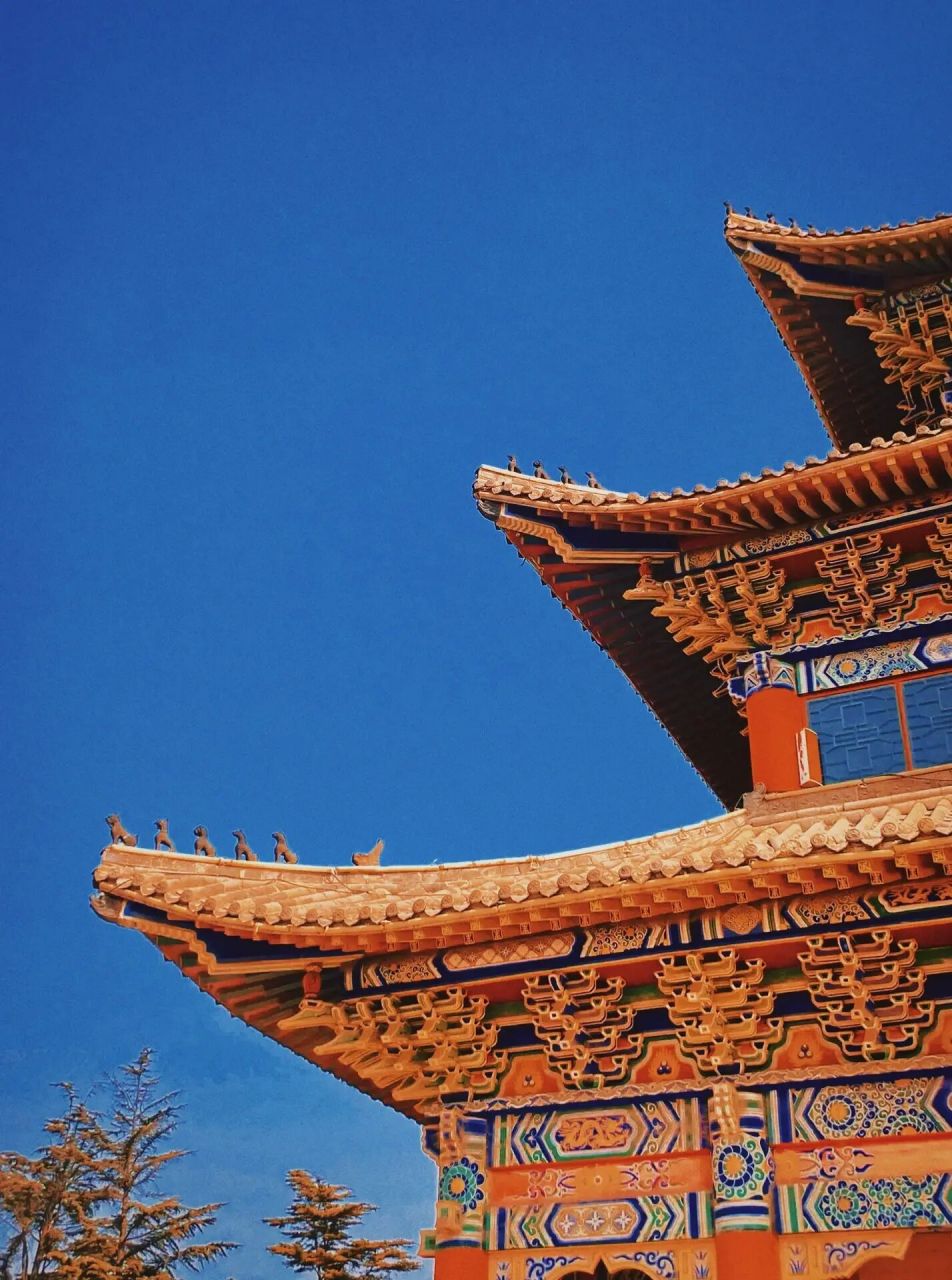 秦皇岛法云寺!祈福打卡!拜佛还愿!