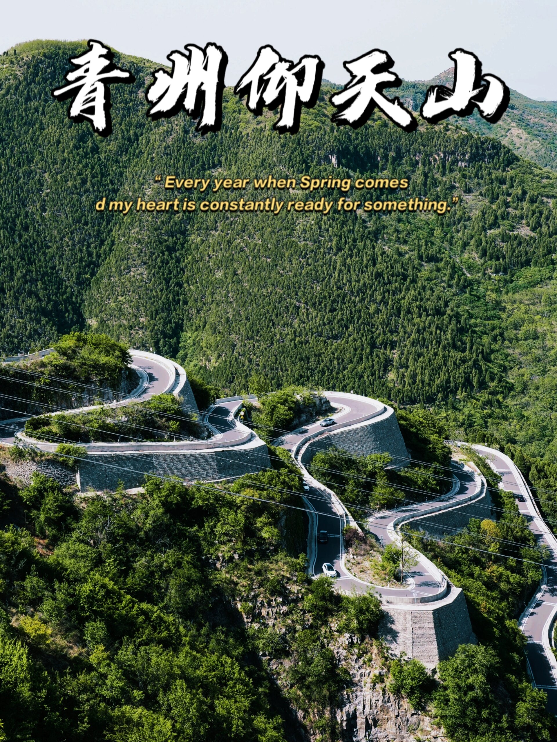 山东青州/仰天山国家森林公园99