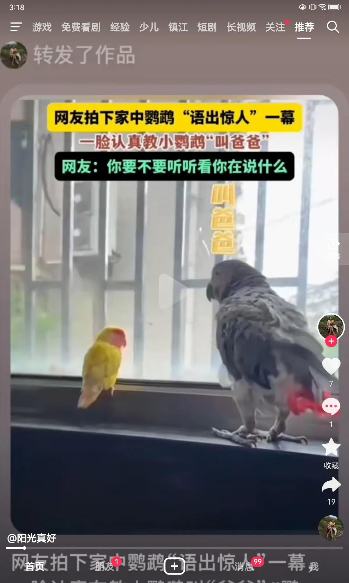 说话,让小鹦鹉叫爸爸,大鹦鹉教的很认真,一板一眼的,能有耐心,不断地