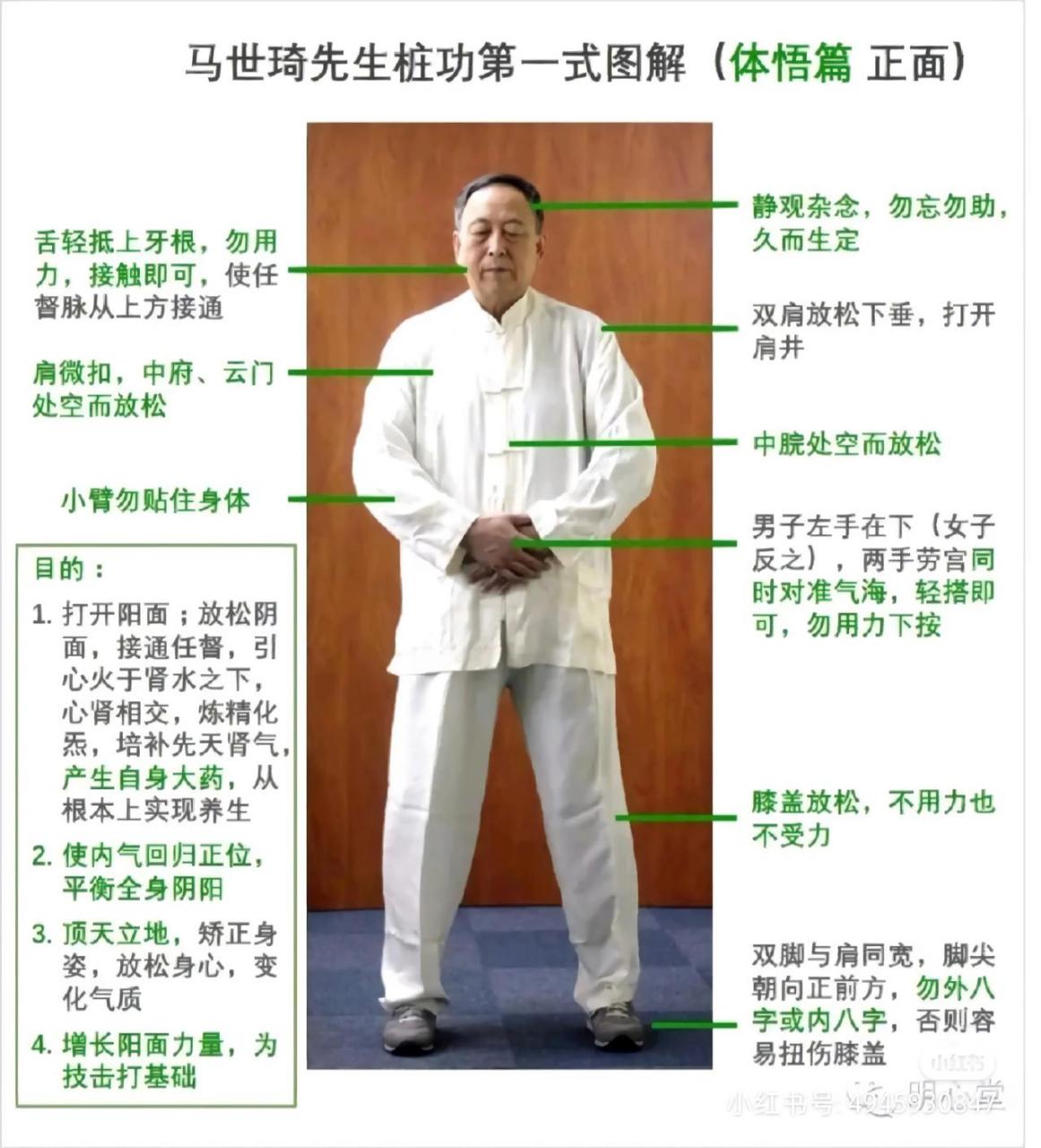 马世琦先生桩功第一式图解