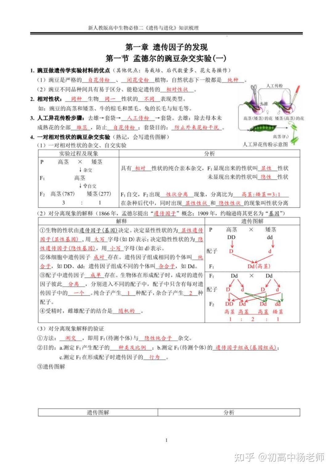 高中生物新人教版必修二知识点归纳总结高考必背