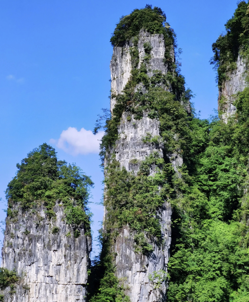 【华中一绝柴埠溪大峡谷自然风景区】#记录旅行##出发吧去湖北##湖北