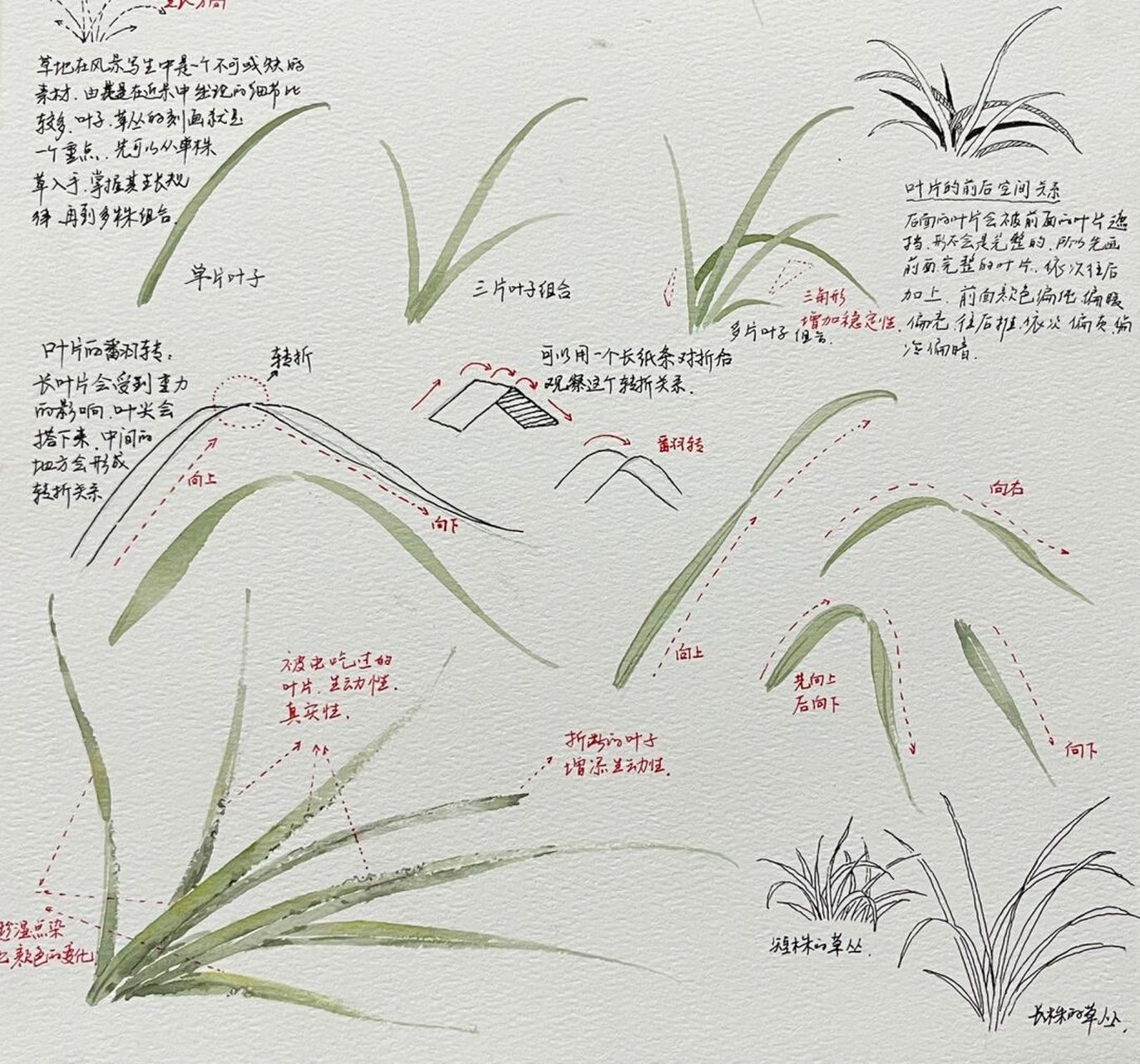 草地的画法 画风景是不是容易忽视一株小草的细节