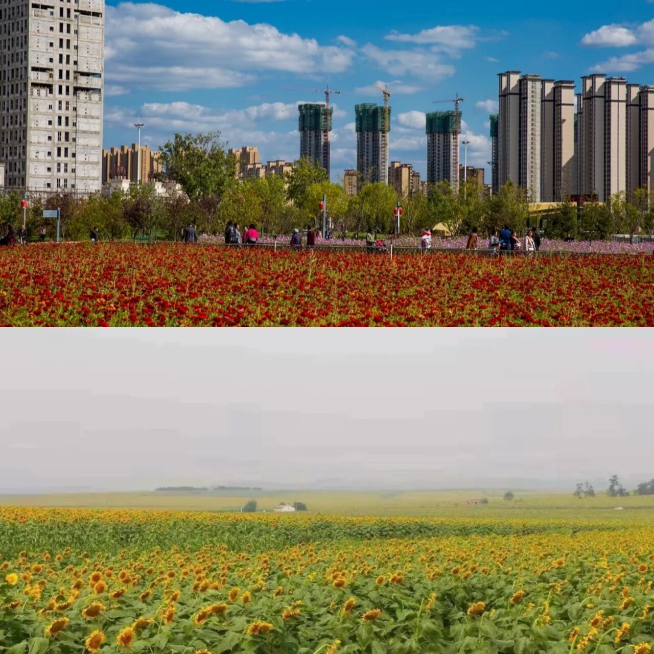 1,【浑南中央公园】 看点:音乐喷泉,舞台演出恢复啦!