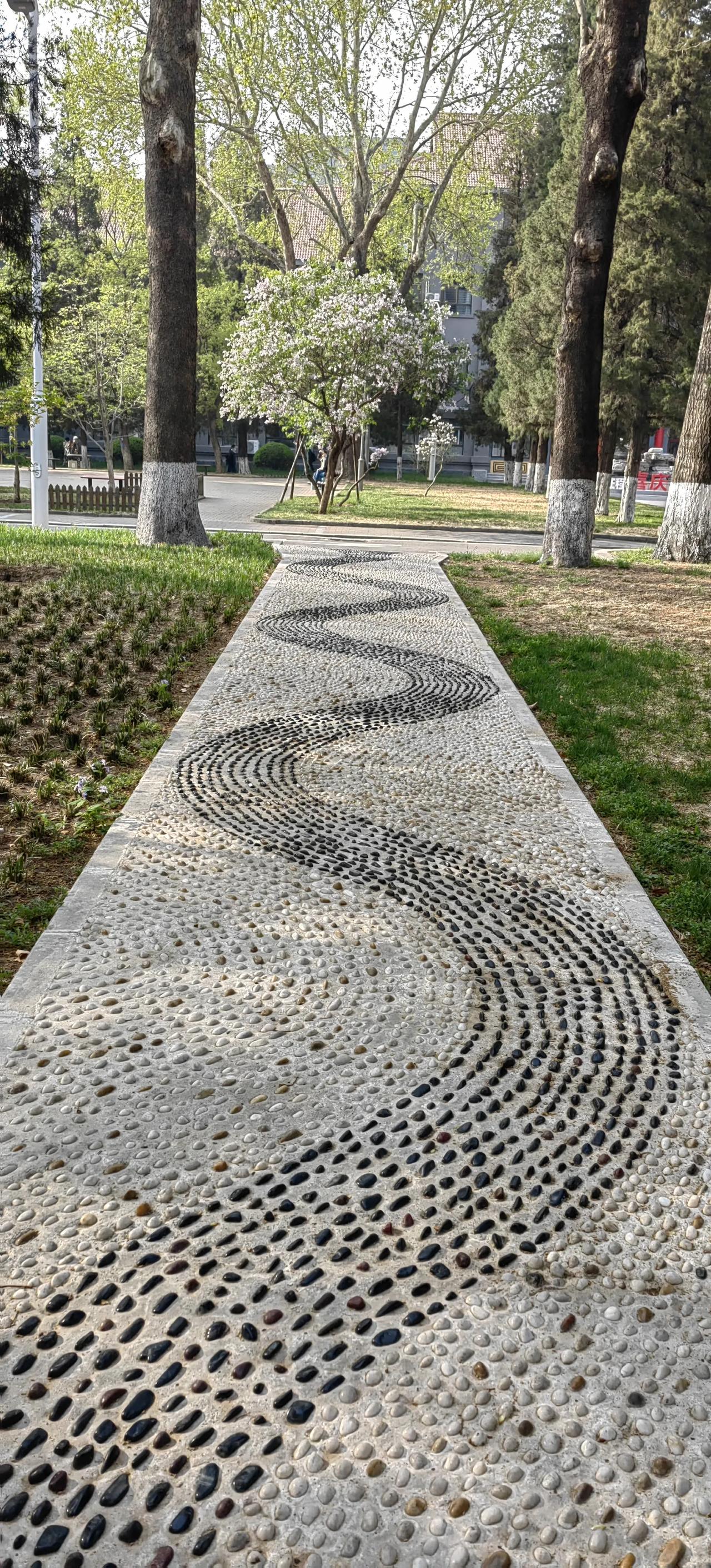 小区外小黄车很好多,路上人少车少,骑行基本没遇到红灯