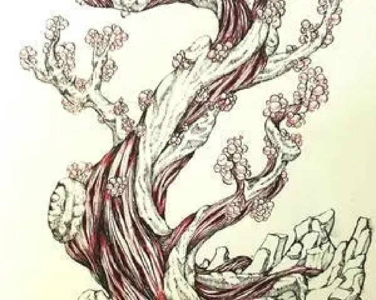 山海经之三株树