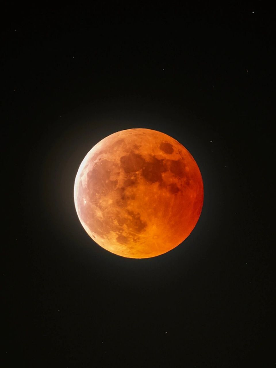 月全食|红月真的很美 !