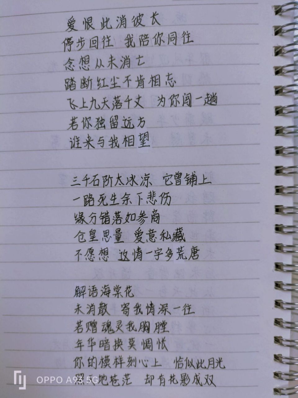 《晚夜微雨问海棠》歌词