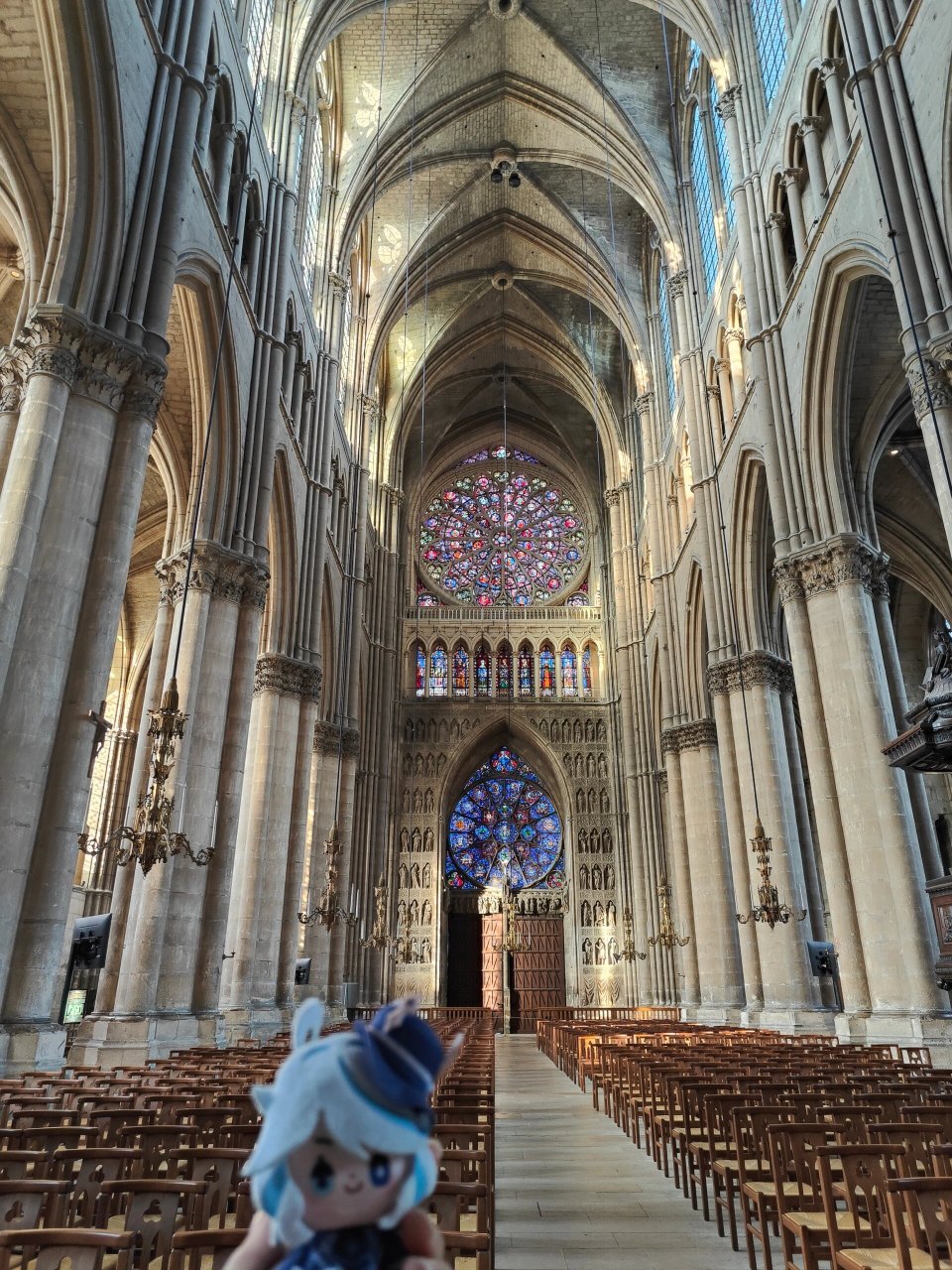 芙芙打卡兰斯大教堂(室内) 兰斯大教堂(reims cathedral)在法国历史上