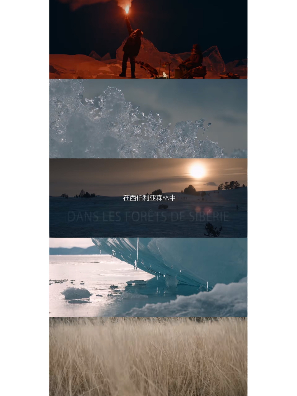 熬夜看完了《在西伯利亚森林中》 :电影以teddy的视角来讲述了一个人