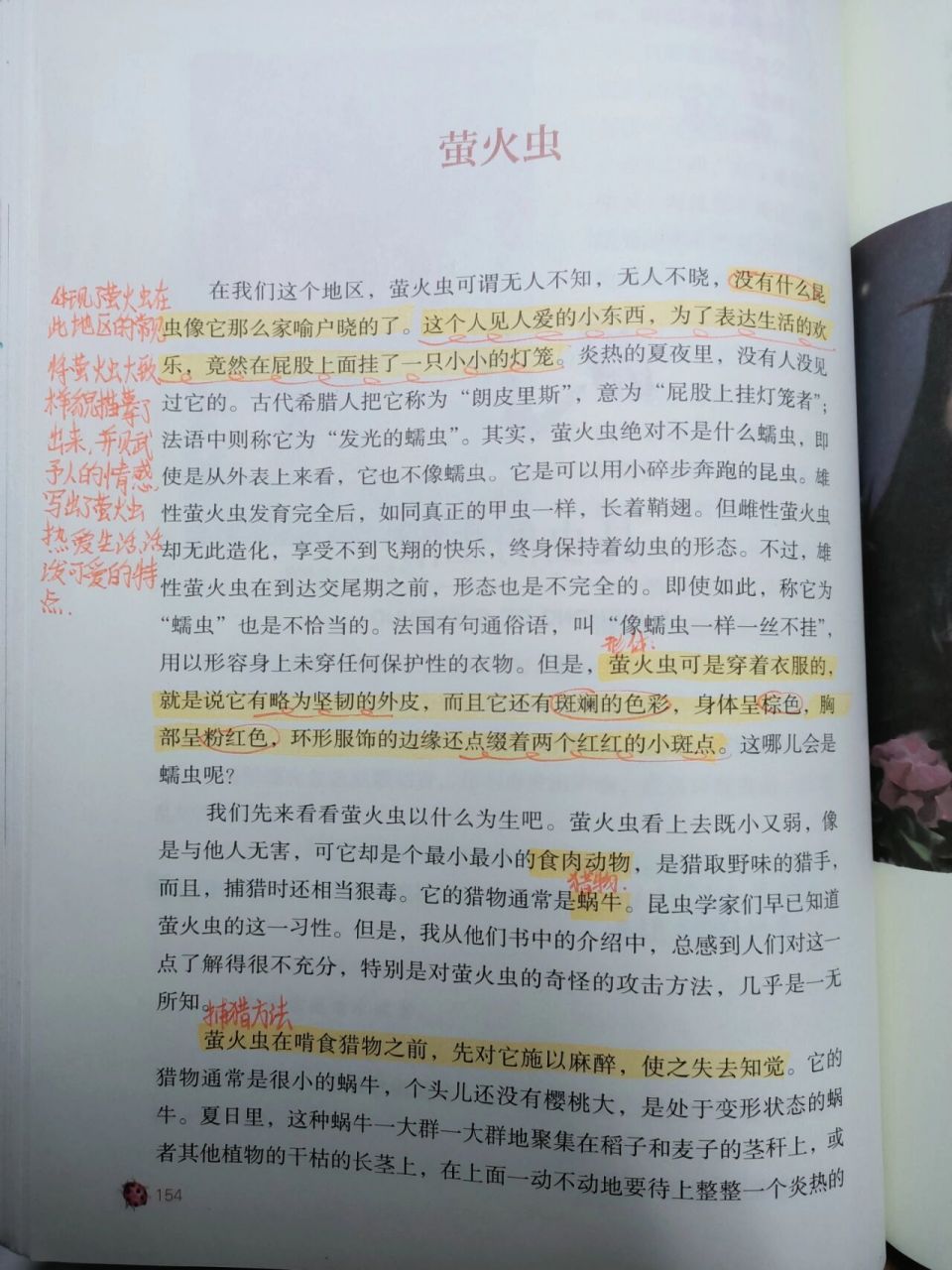 《昆虫记》(萤火虫)批注12 版本:人教版 如题.